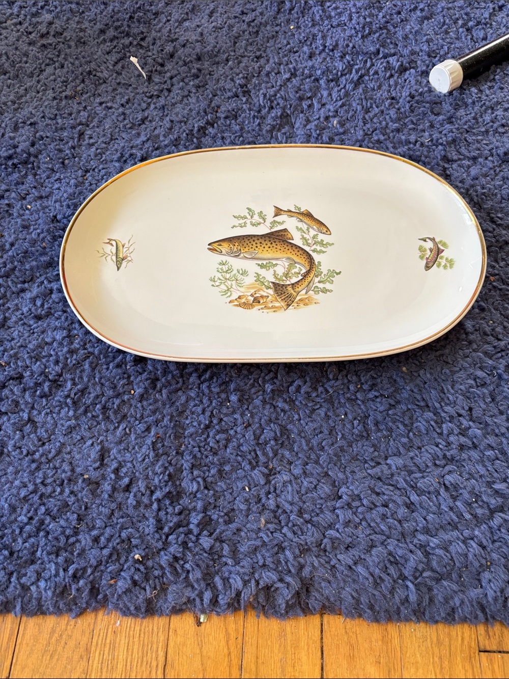 Schuman Arzberg Germany Trout Fish Large Platter